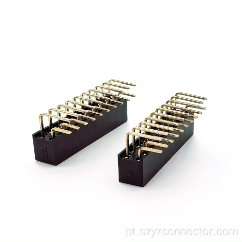 Cabeçalho fêmea de 2,54 mm fileira dupla 20P